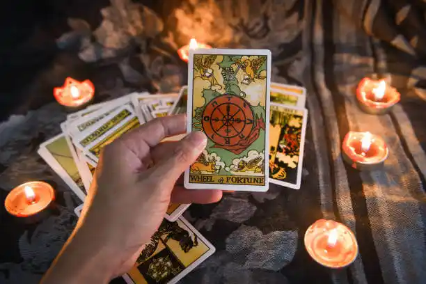 tarot cards Orchard Homes